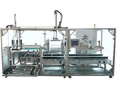 Pick And Place Case Packer