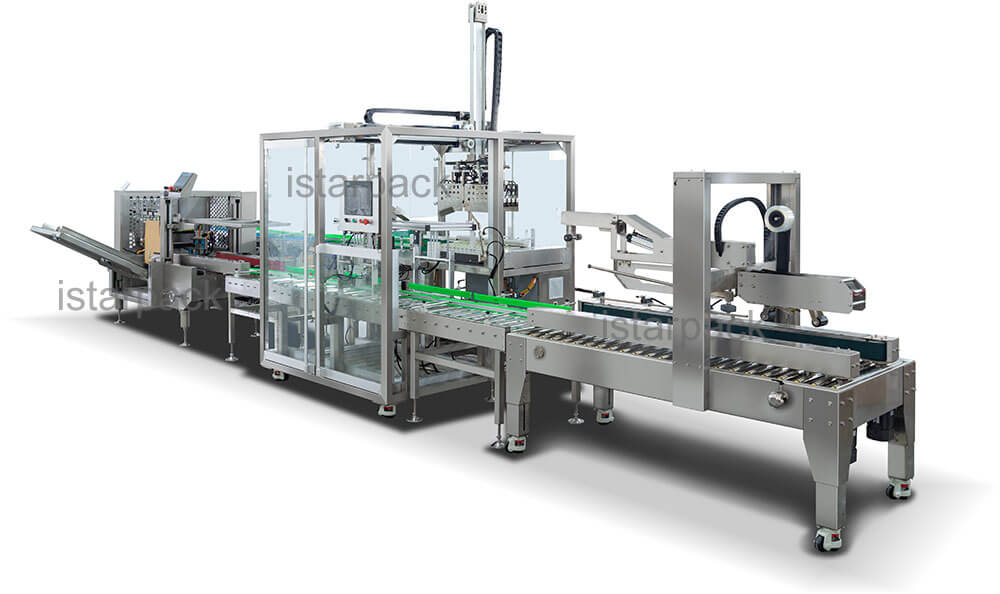 Pick And Place Case Packer